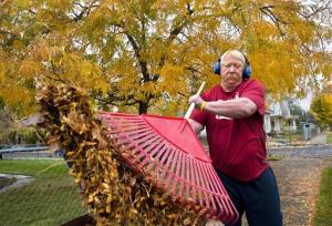 1000300-6-20141120133013-scientists-be-lazy-dont-rake-leaves.jpeg