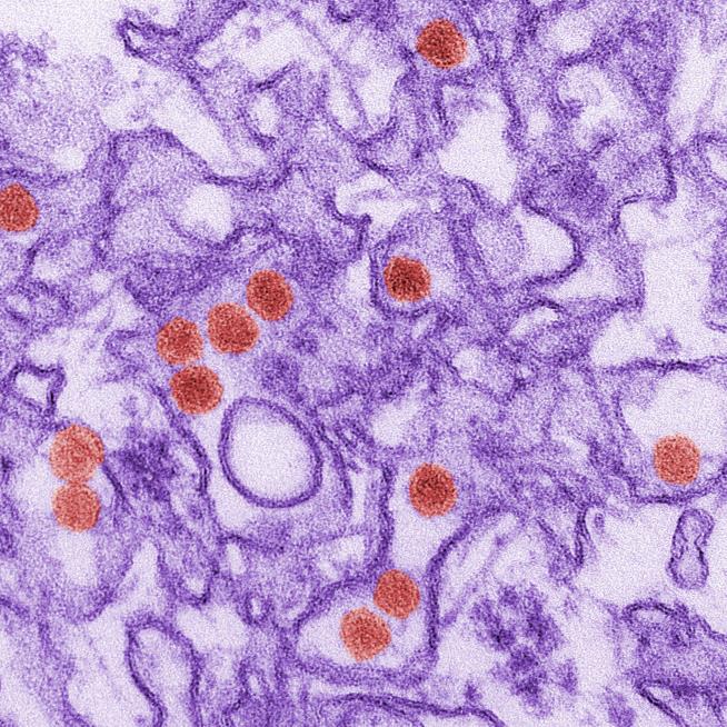 Asia raises alarm as more Zika cases reported