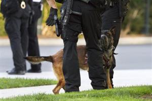 A Belgian Malinois dog, part of the Secret Service's K-9 unit used for security at the White House, greets members of the Secret Service police on the North Lawn in this file photo.