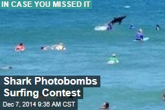 Shark Photobombs Surfing Contest