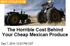 The Horrible Cost Behind Your Cheap Mexican Produce