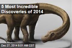 5 Most Incredible Discoveries of 2014