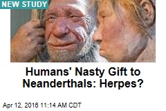 Humans' Nasty Gift to Neanderthals: Herpes?