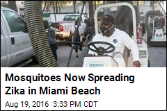 Mosquitoes Now Spreading Zika in Miami Beach